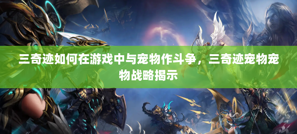 三奇迹如何在游戏中与宠物作斗争，三奇迹宠物宠物战略揭示  第3张