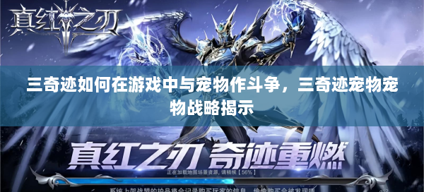 三奇迹如何在游戏中与宠物作斗争，三奇迹宠物宠物战略揭示  第2张