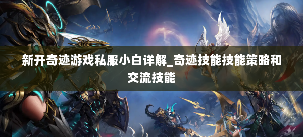 新开奇迹游戏私服小白详解_奇迹技能技能策略和交流技能  第2张